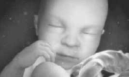 Third trimester baby picture