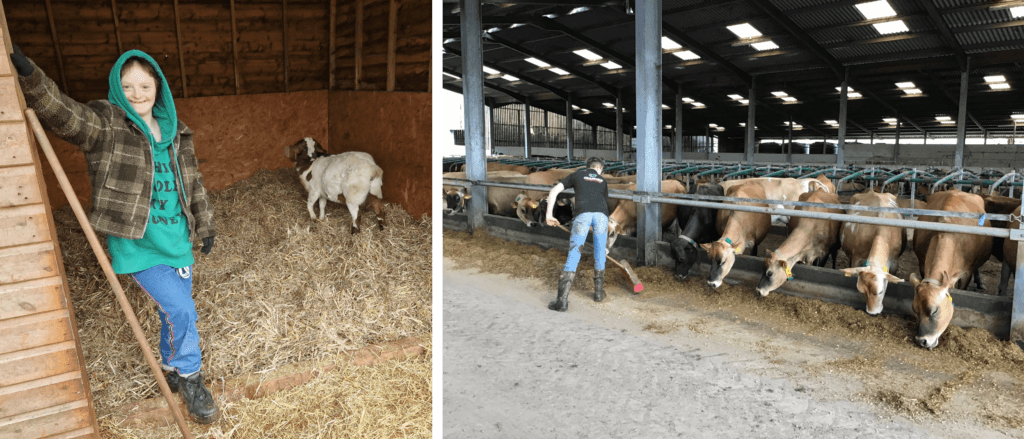 work experience in Farming